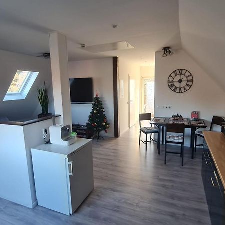 Ferienwohnung Richter Pirna Ngoại thất bức ảnh